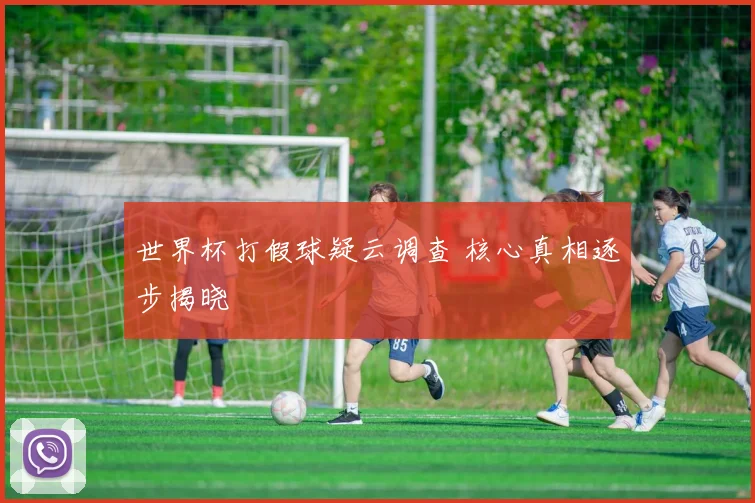 世界杯打假球疑云调查 核心真相逐步揭晓