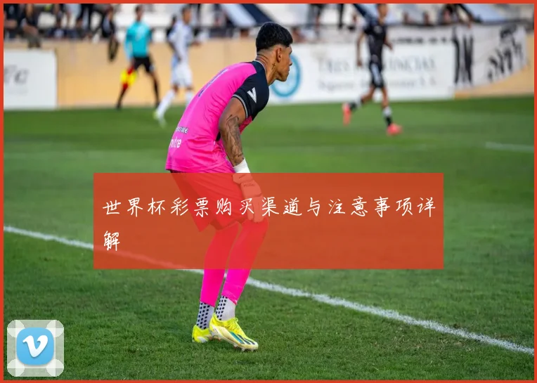 世界杯彩票购买渠道与注意事项详解