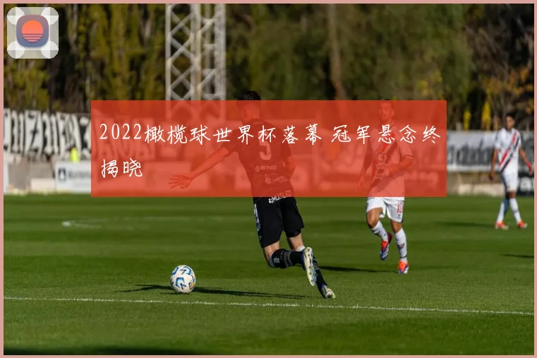 2022橄榄球世界杯落幕 冠军悬念终揭晓
