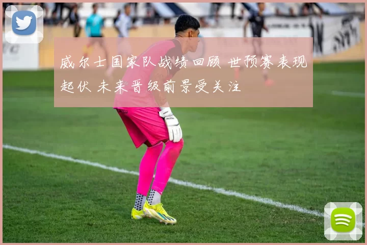 威尔士国家队战绩回顾 世预赛表现起伏 未来晋级前景受关注