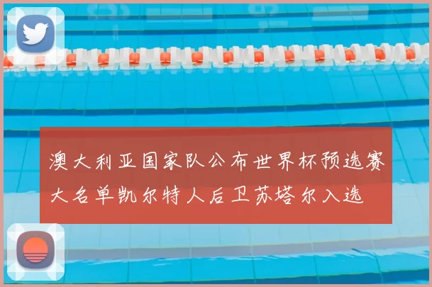 澳大利亚国家队公布世界杯预选赛大名单凯尔特人后卫苏塔尔入选